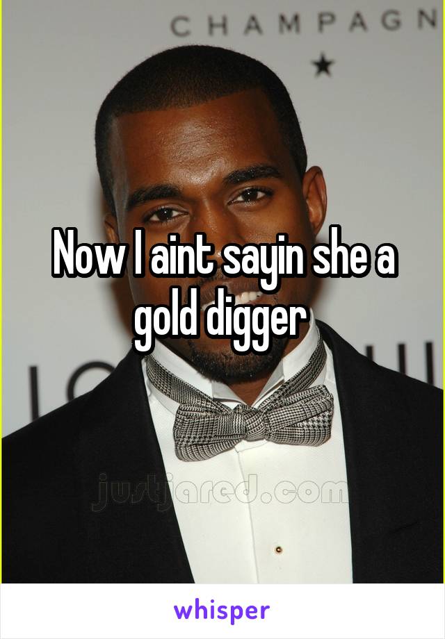 Now I aint sayin she a gold digger 
