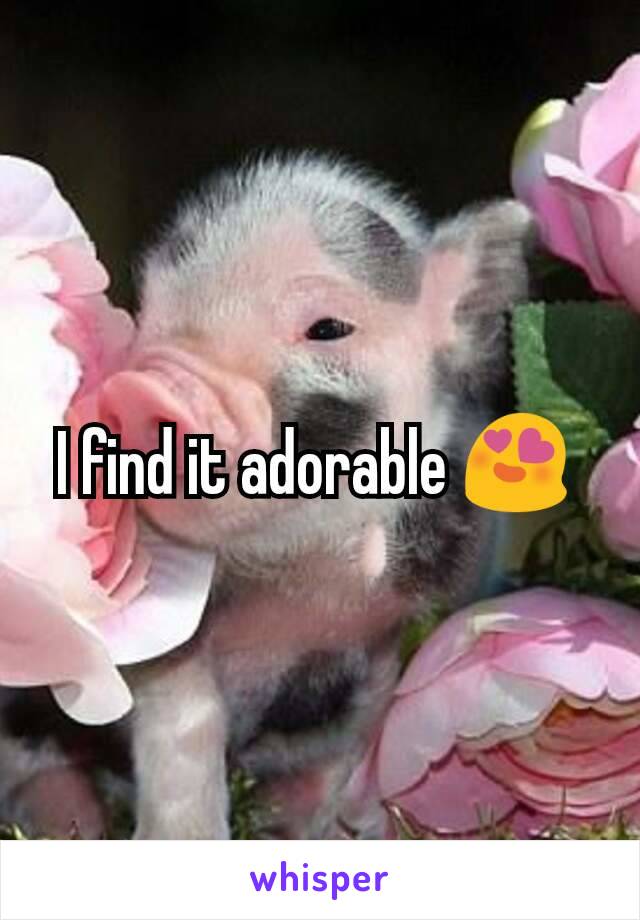 I find it adorable 😍 