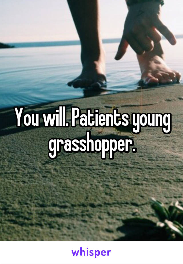 You will. Patients young grasshopper.