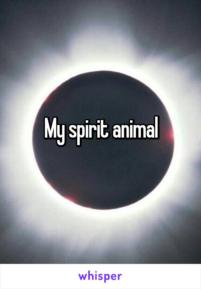 My spirit animal
