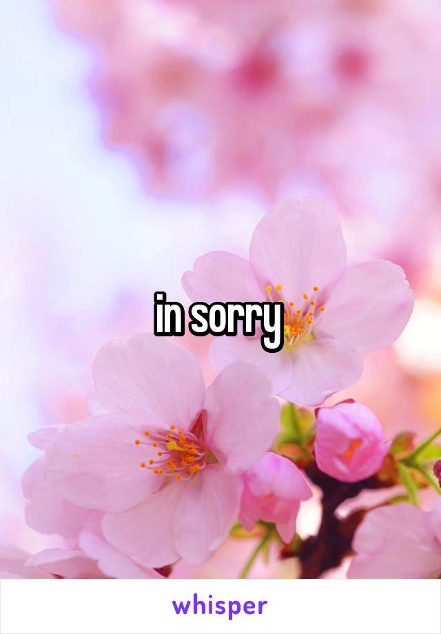in sorry 