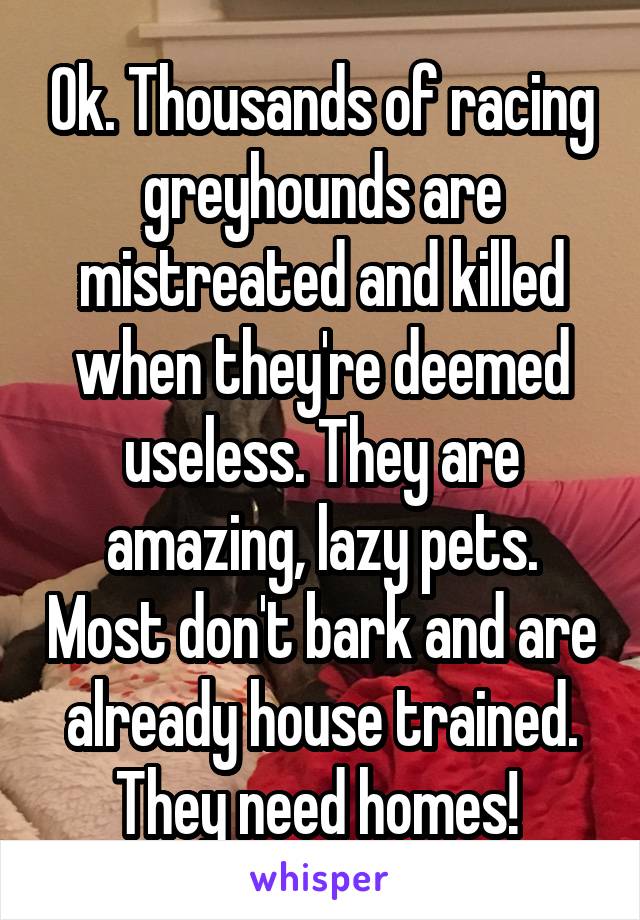 Ok. Thousands of racing greyhounds are mistreated and killed when they're deemed useless. They are amazing, lazy pets. Most don't bark and are already house trained. They need homes! 