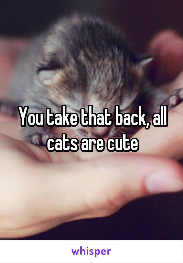 You take that back, all cats are cute