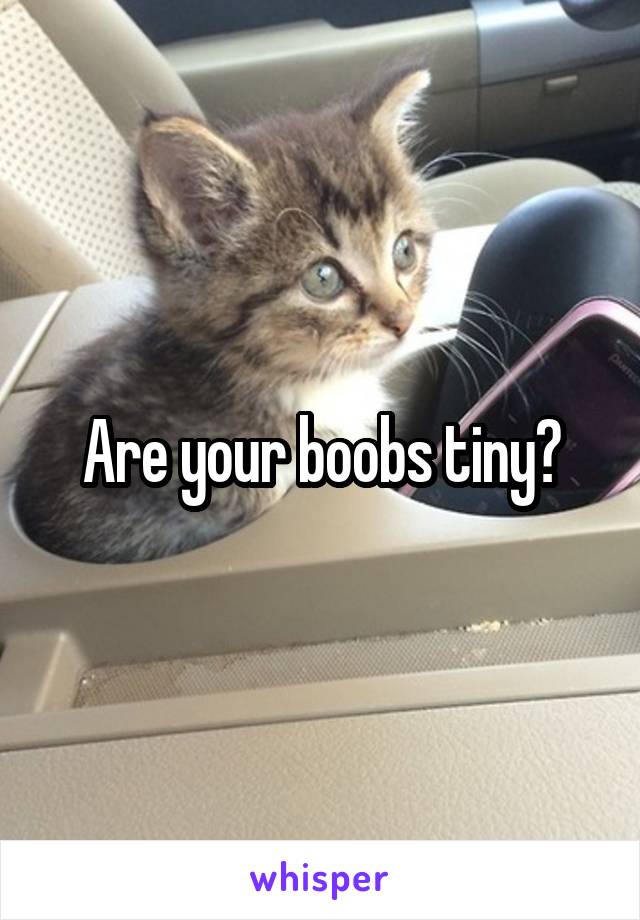 Are your boobs tiny?