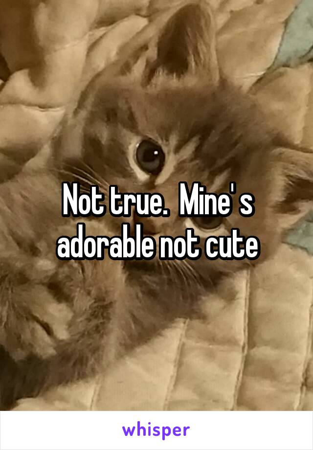 Not true.  Mine' s adorable not cute