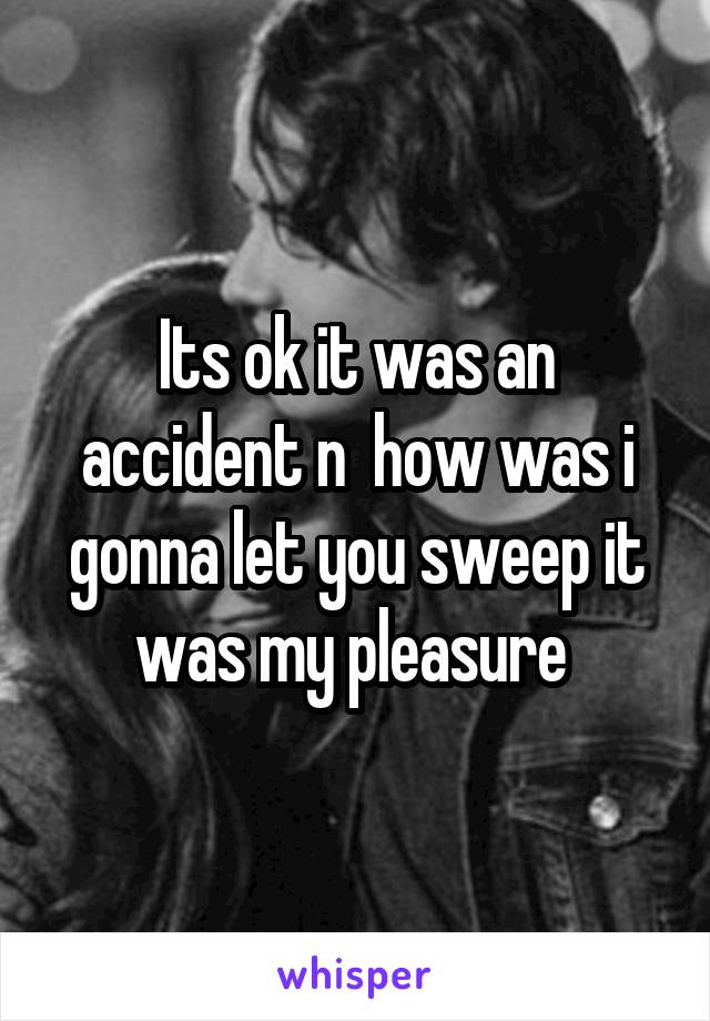 Its ok it was an accident n  how was i gonna let you sweep it was my pleasure 