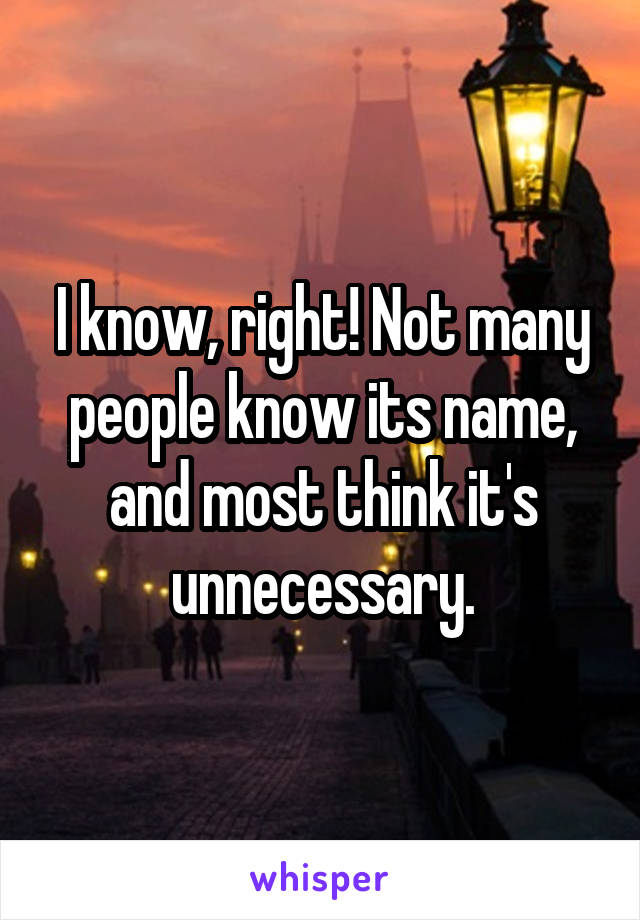 I know, right! Not many people know its name, and most think it's unnecessary.