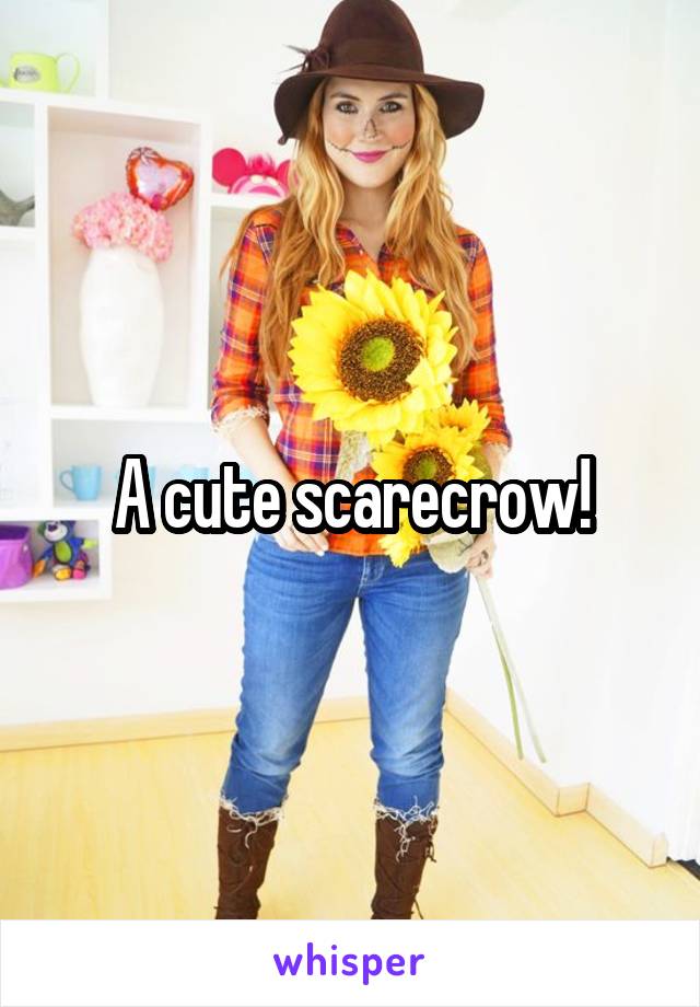 A cute scarecrow!