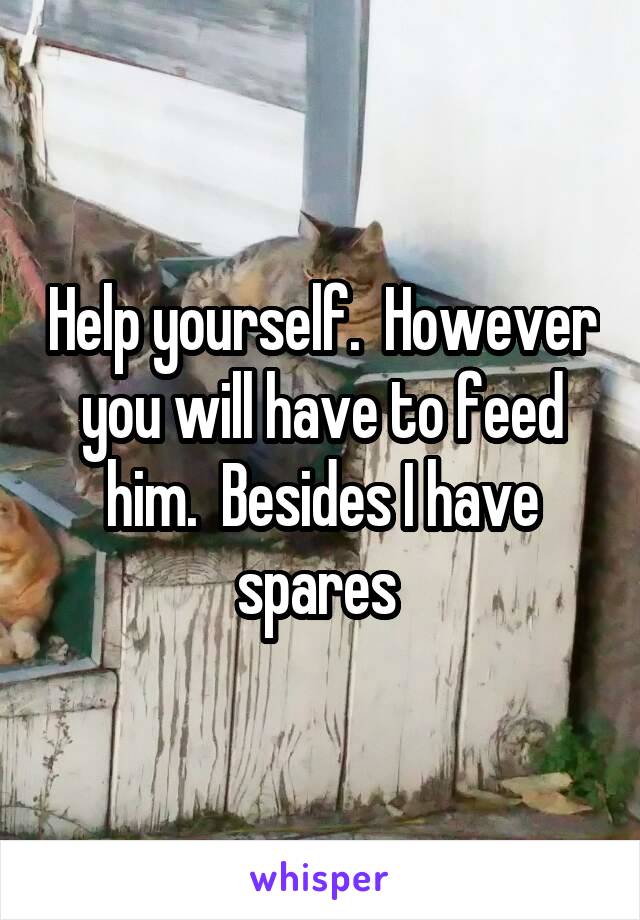 Help yourself.  However you will have to feed him.  Besides I have spares 