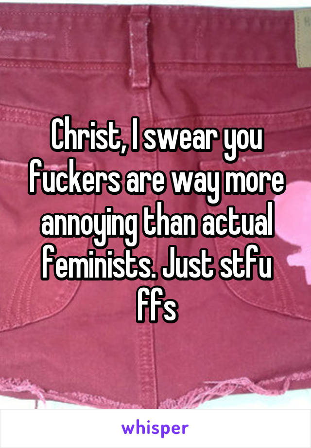 Christ, I swear you fuckers are way more annoying than actual feminists. Just stfu ffs