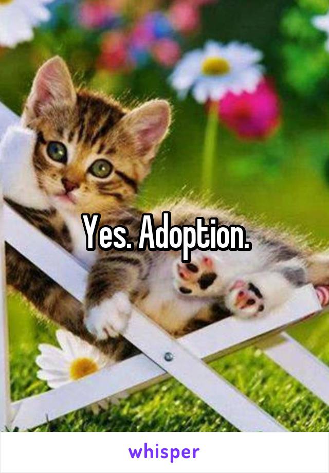 Yes. Adoption.