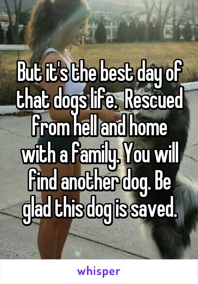 But it's the best day of that dogs life.  Rescued from hell and home with a family. You will find another dog. Be glad this dog is saved.