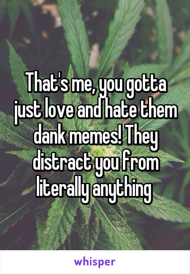 That's me, you gotta just love and hate them dank memes! They distract you from literally anything 