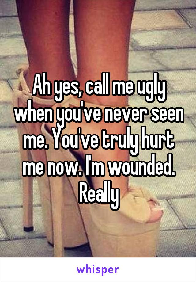 Ah yes, call me ugly when you've never seen me. You've truly hurt me now. I'm wounded. Really