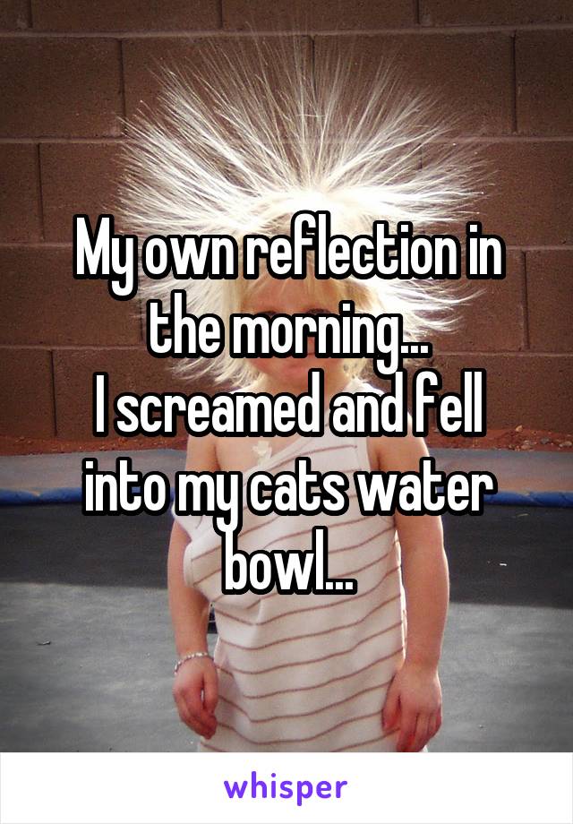 My own reflection in the morning...
I screamed and fell into my cats water bowl...