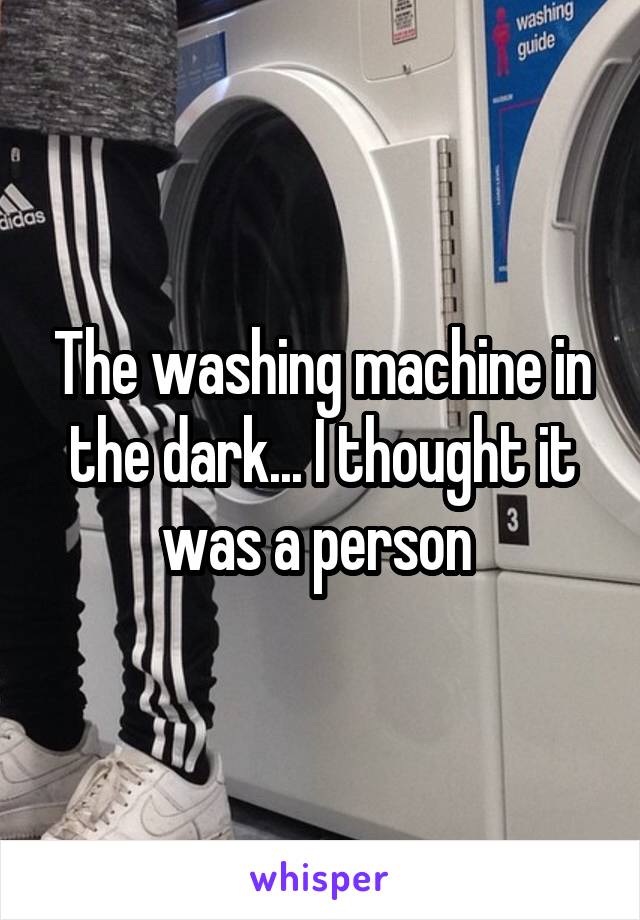 The washing machine in the dark... I thought it was a person 