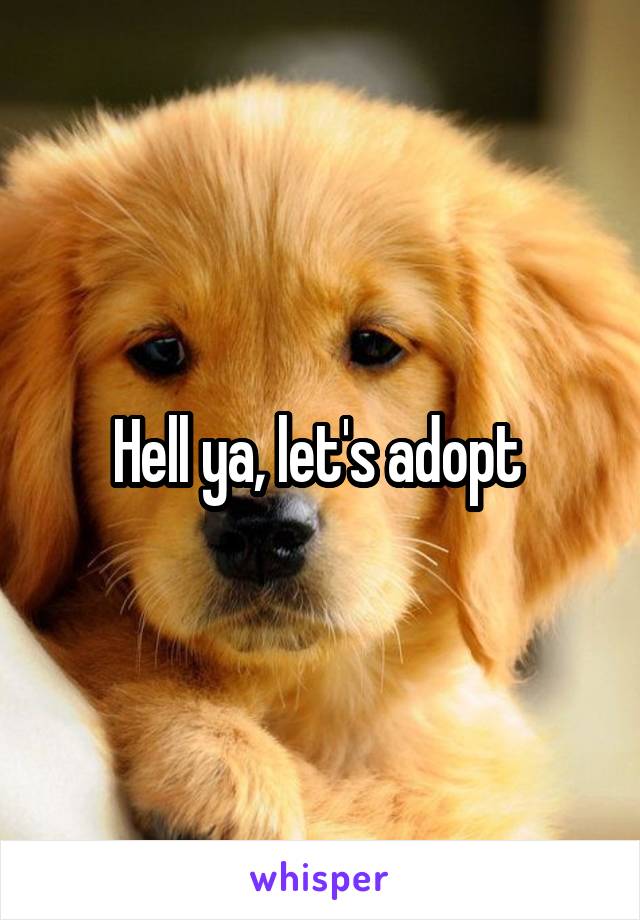 Hell ya, let's adopt 