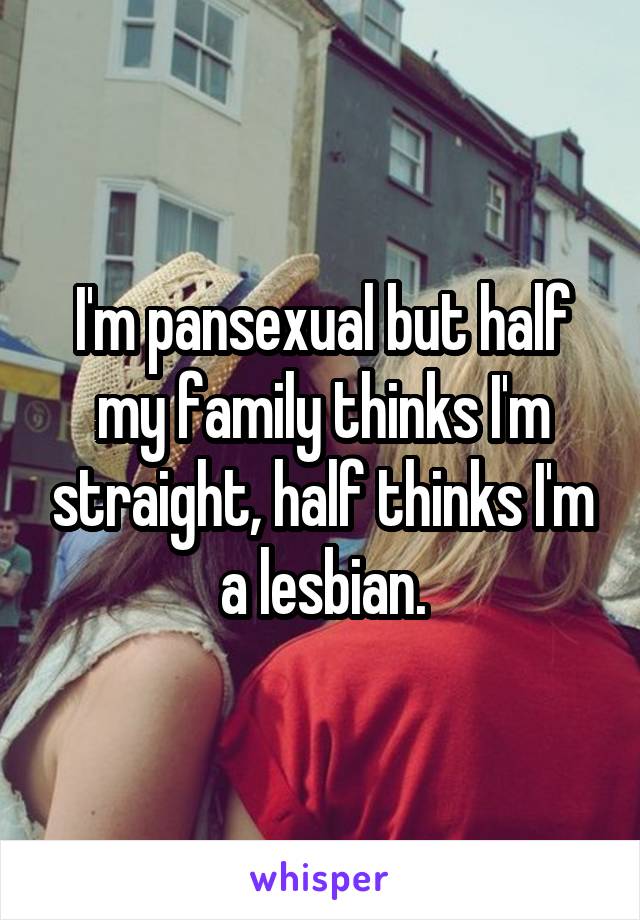 I'm pansexual but half my family thinks I'm straight, half thinks I'm a lesbian.