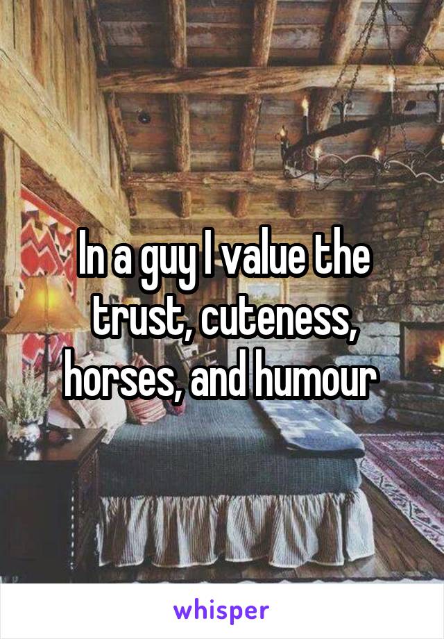 In a guy I value the trust, cuteness, horses, and humour 