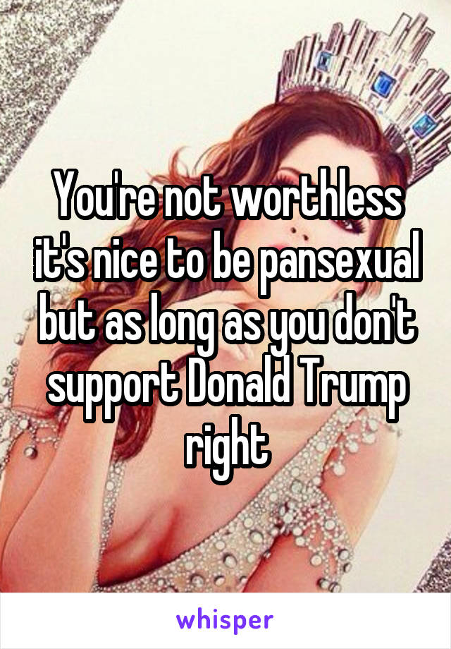 You're not worthless it's nice to be pansexual but as long as you don't support Donald Trump right