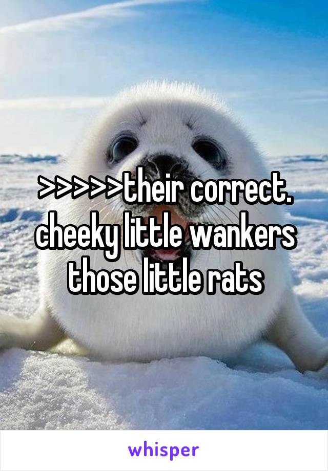 >>>>>their correct. cheeky little wankers those little rats