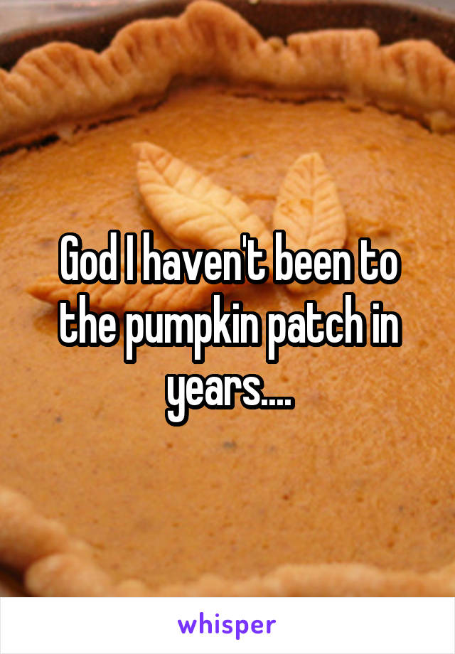 God I haven't been to the pumpkin patch in years....