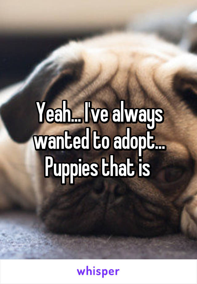 Yeah... I've always wanted to adopt... Puppies that is 