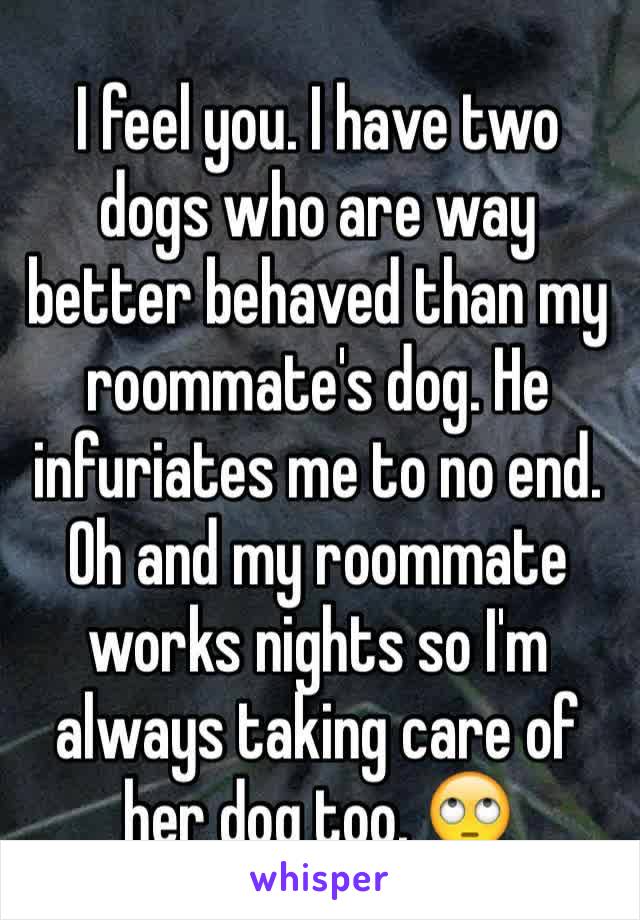 I feel you. I have two dogs who are way better behaved than my roommate's dog. He infuriates me to no end. Oh and my roommate works nights so I'm always taking care of her dog too. 🙄