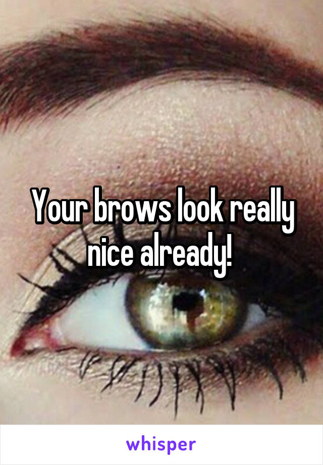 Your brows look really nice already! 