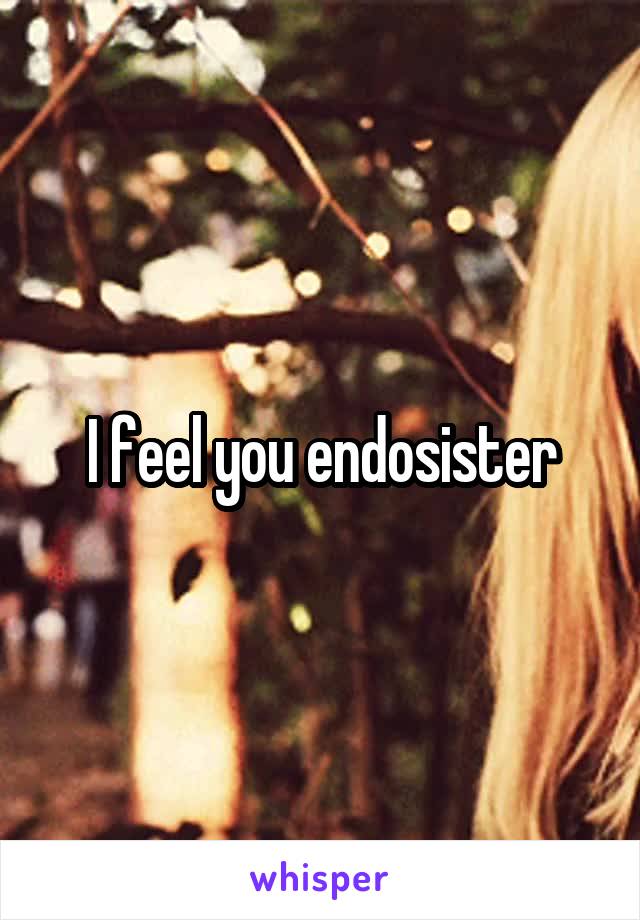 I feel you endosister