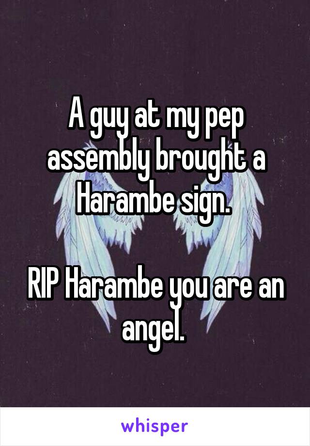 A guy at my pep assembly brought a Harambe sign. 

RIP Harambe you are an angel. 