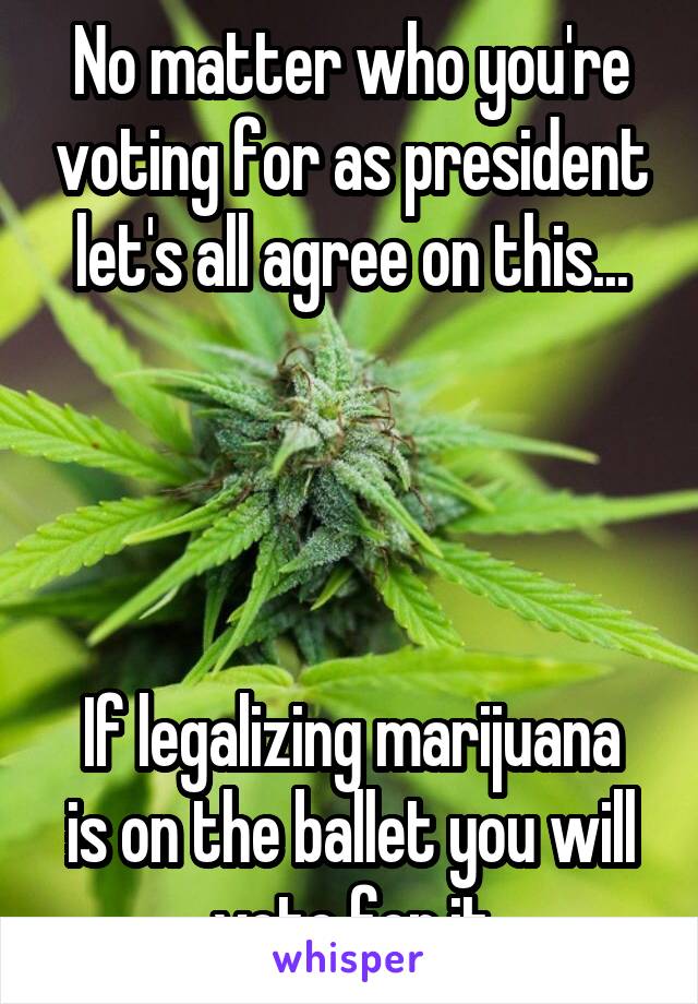No matter who you're voting for as president let's all agree on this...




If legalizing marijuana is on the ballet you will vote for it