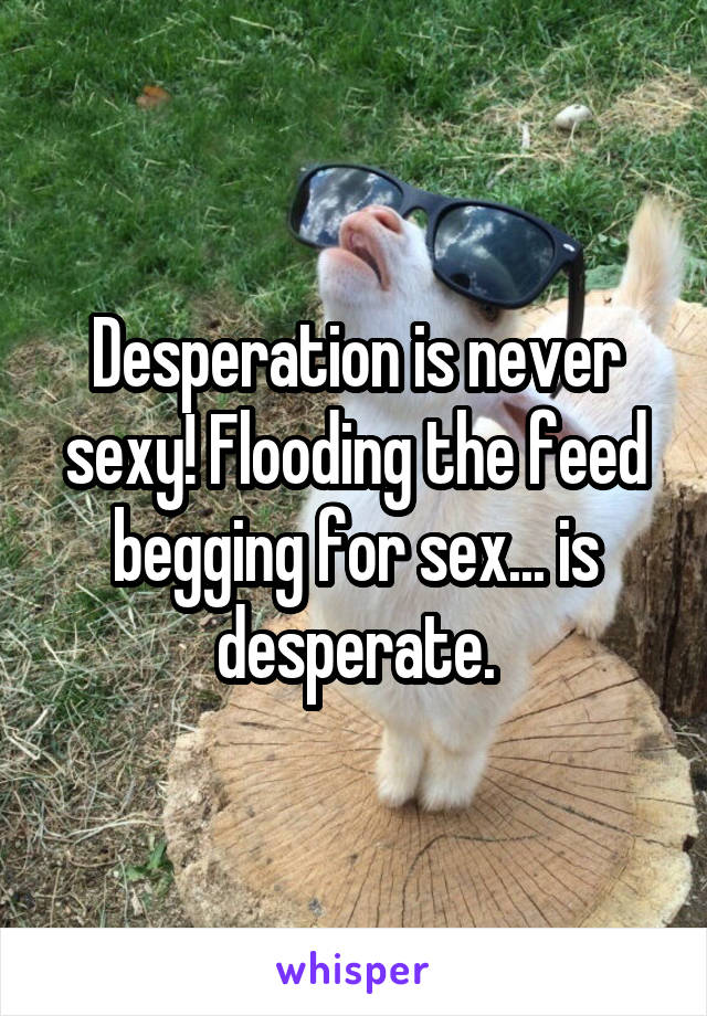 Desperation is never sexy! Flooding the feed begging for sex... is desperate.