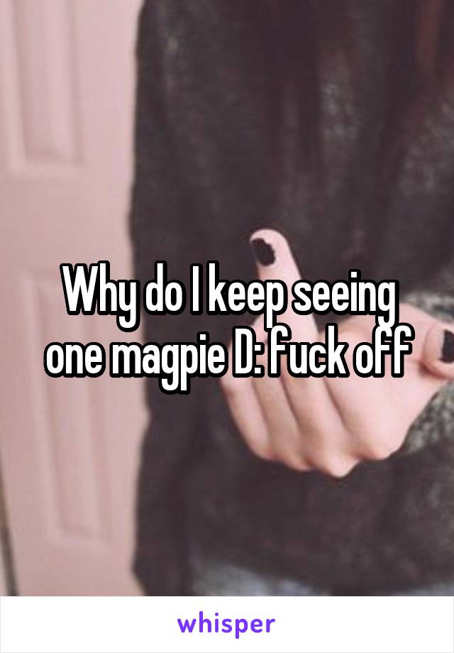 Why do I keep seeing one magpie D: fuck off