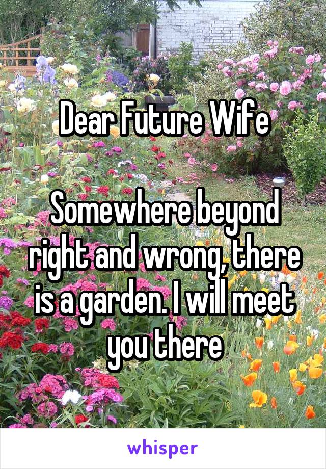 Dear Future Wife

Somewhere beyond right and wrong, there is a garden. I will meet you there