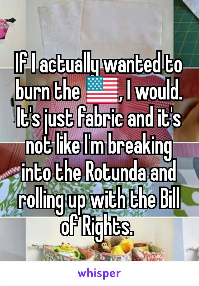 If I actually wanted to burn the 󾓦, I would. It's just fabric and it's not like I'm breaking into the Rotunda and rolling up with the Bill of Rights. 