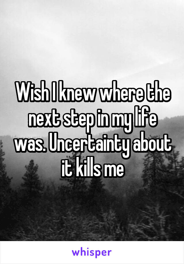 Wish I knew where the next step in my life was. Uncertainty about it kills me