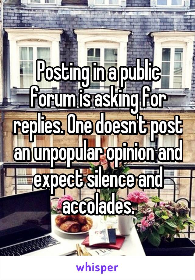 Posting in a public forum is asking for replies. One doesn't post an unpopular opinion and expect silence and accolades.