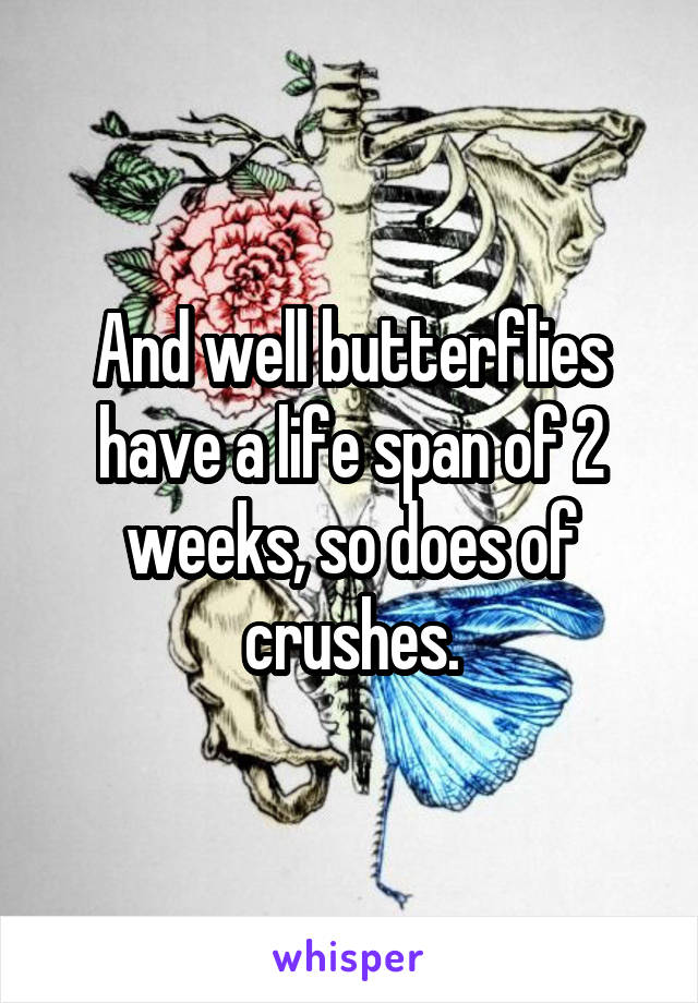 And well butterflies have a life span of 2 weeks, so does of crushes.