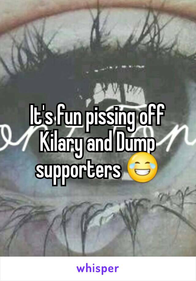 It's fun pissing off Kilary and Dump supporters 😂