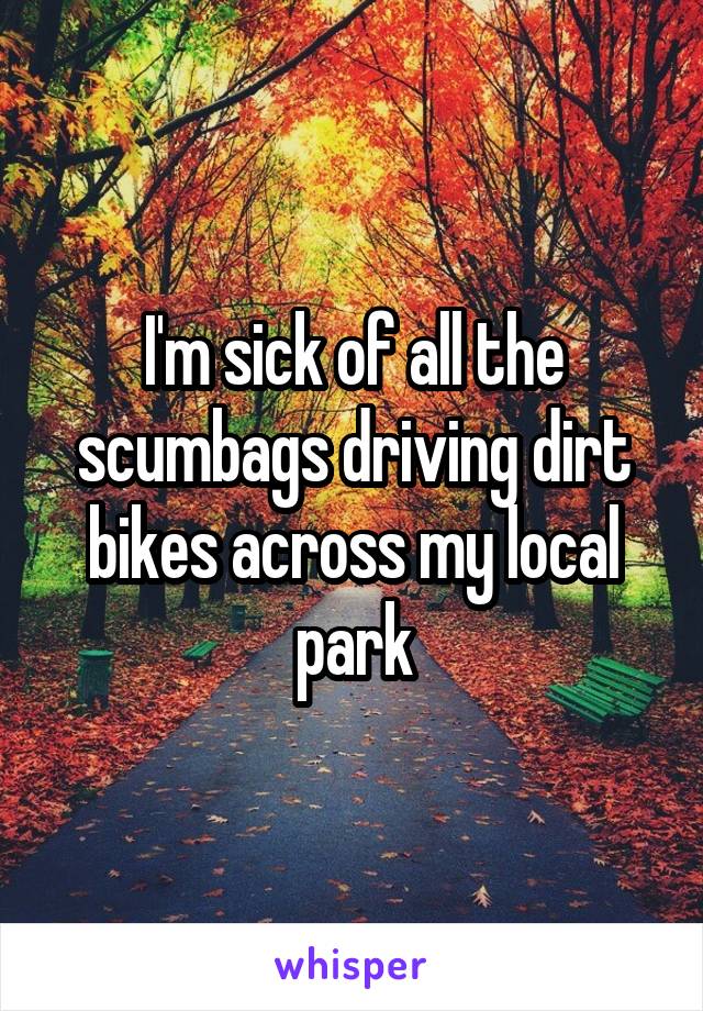 I'm sick of all the scumbags driving dirt bikes across my local park