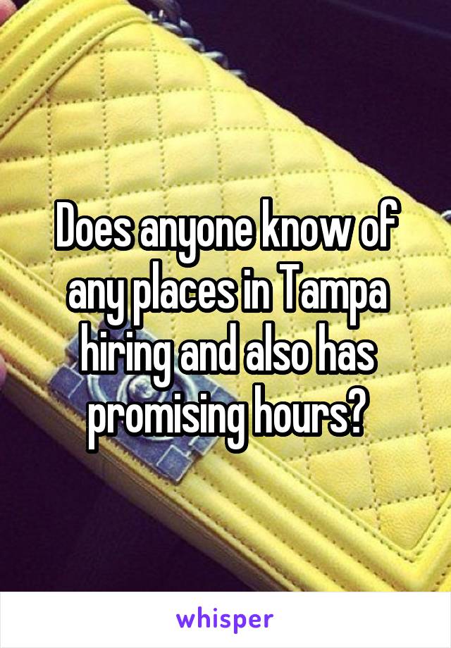 Does anyone know of any places in Tampa hiring and also has promising hours?