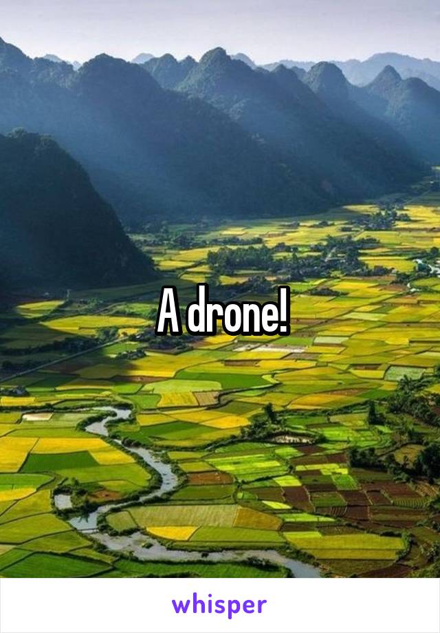 A drone!