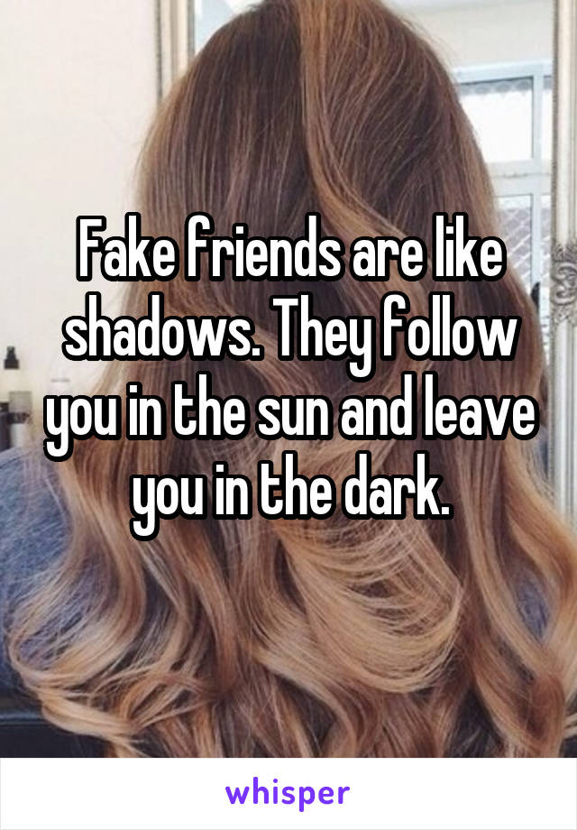 Fake friends are like shadows. They follow you in the sun and leave you in the dark.
