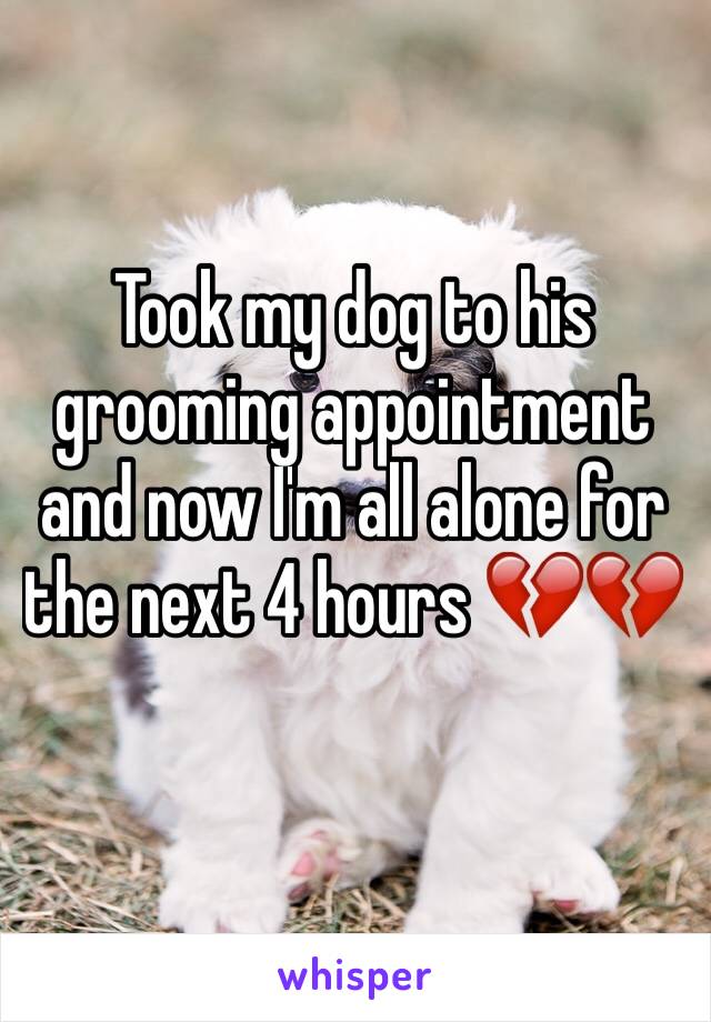 Took my dog to his grooming appointment and now I'm all alone for the next 4 hours 💔💔