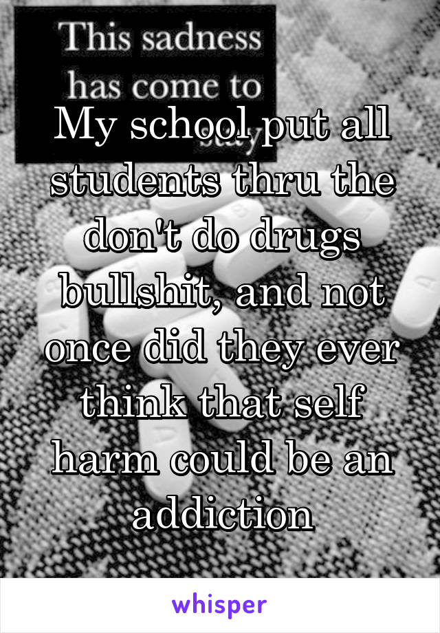 My school put all students thru the don't do drugs bullshit, and not once did they ever think that self harm could be an addiction