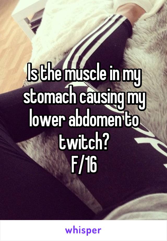 Is the muscle in my stomach causing my lower abdomen to twitch?
F/16