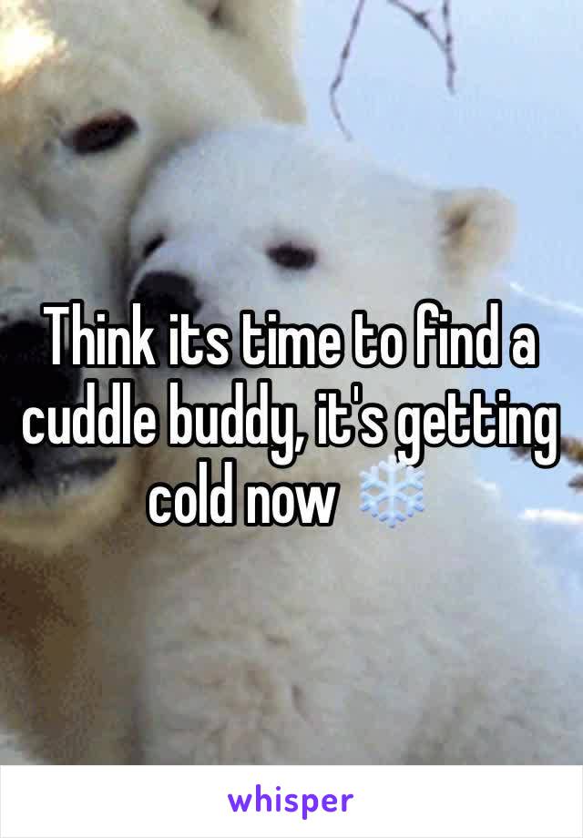 Think its time to find a cuddle buddy, it's getting cold now ❄️
