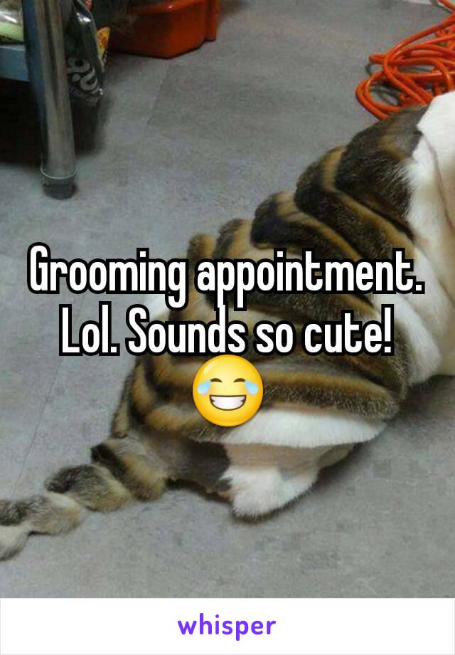 Grooming appointment. Lol. Sounds so cute! 😂