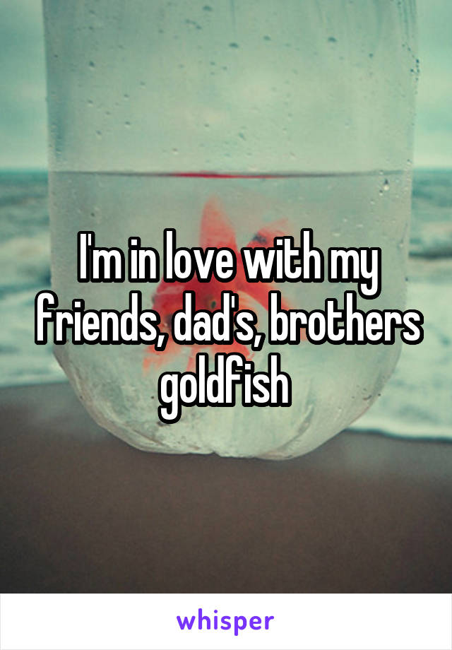 I'm in love with my friends, dad's, brothers goldfish 